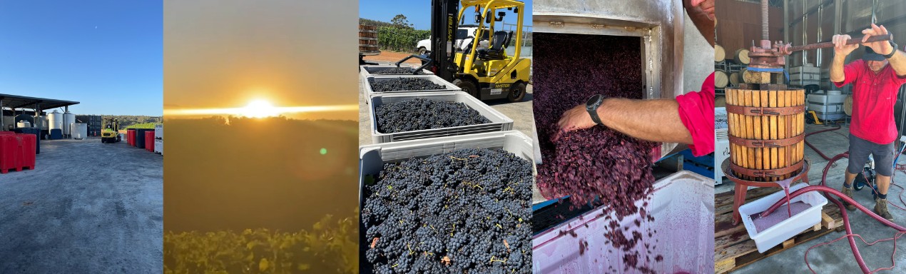 March harvesting at Monty's Leap