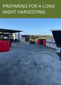 preparing for harvesting