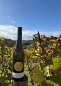 Montys Leap Riesling-2025