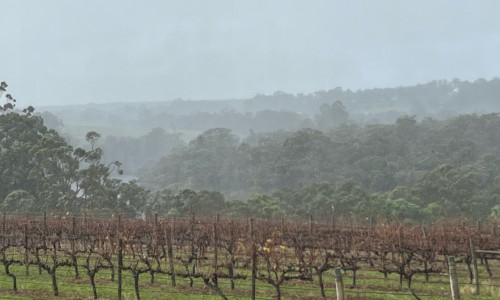 rain at Montys leap