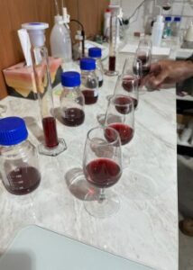 pinot components
