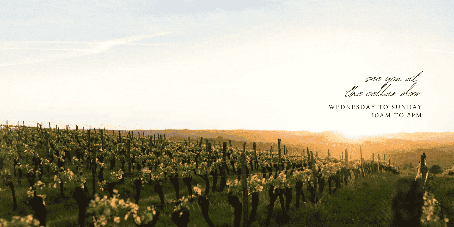 The sun setting over our vineyard at Monty's Leap Wines.